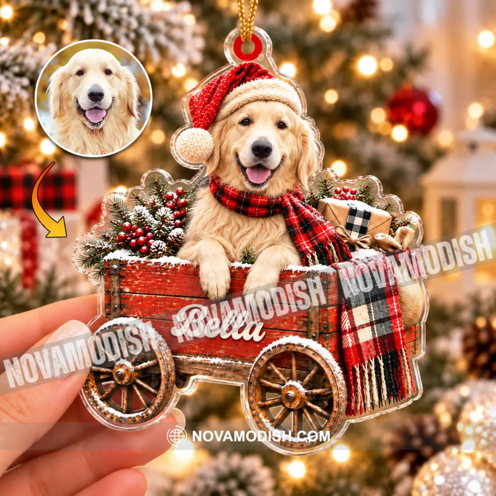 Pet Lover Home Decor Christmas Ornament Personalized Ornament - Ornament